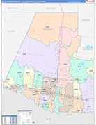 McAllen-Edinburg-Mission Metro Area Wall Map Color Cast Style